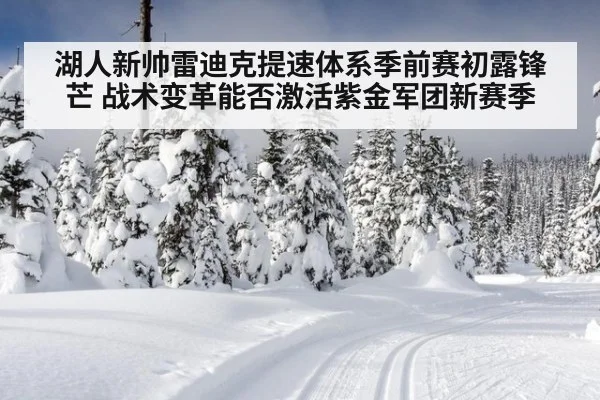 湖人新帅雷迪克提速体系季前赛初露锋芒 战术变革能否激活紫金军团新赛季